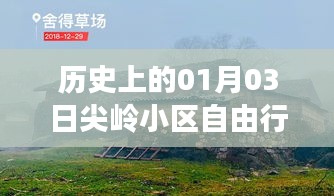 尖岭小区自由行，历史热门攻略一网打尽