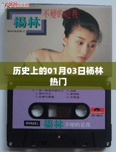 一石三鸟