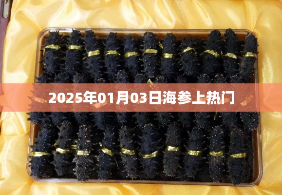 独出新裁 第2页
