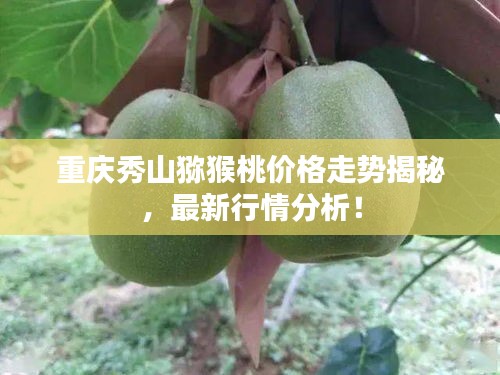 一花独放 第2页