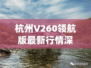 杭州V260领航版最新行情深度解析