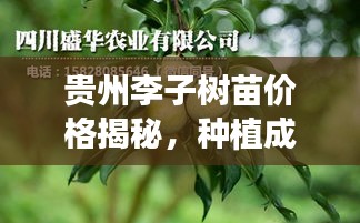令行禁止 第2页