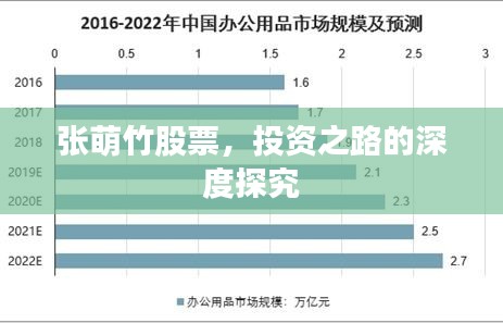 张萌竹股票，投资之路的深度探究