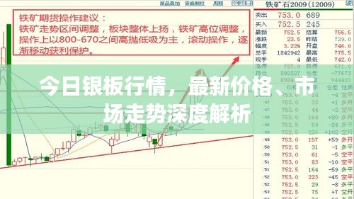 笨鸟先飞 第2页