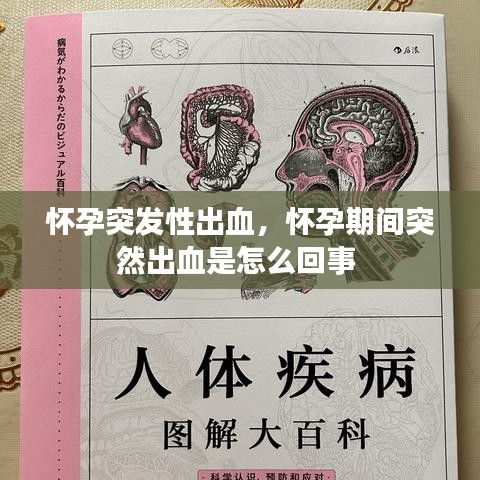 admin 第2页