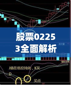竭尽全力 第2页