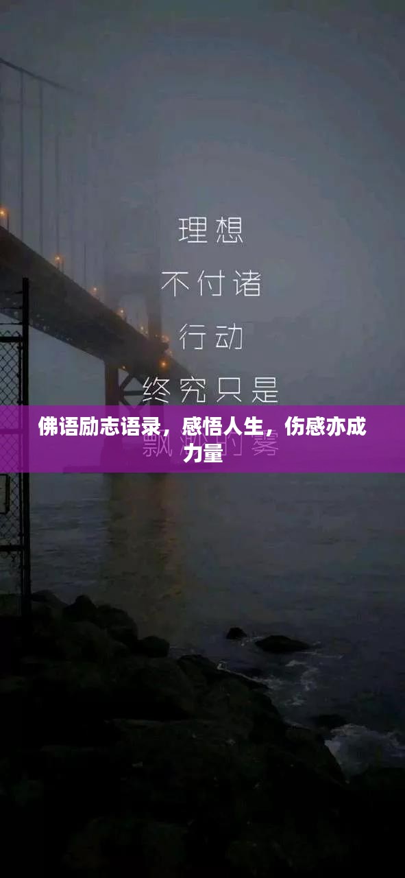 橘虞初梦 第2页