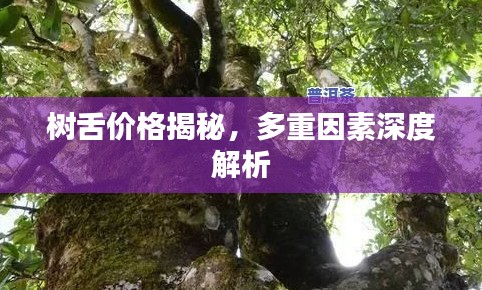 囊萤映雪 第2页