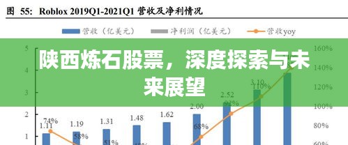 陕西炼石股票，深度探索与未来展望