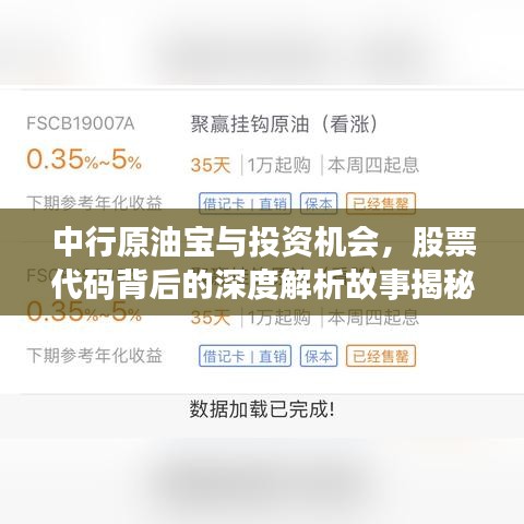 中行原油宝与投资机会，股票代码背后的深度解析故事揭秘