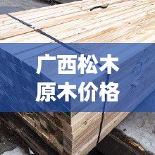 广西松木原木价格行情深度解读