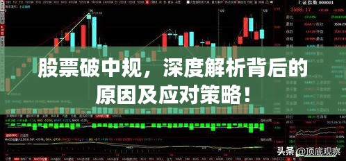鸟为食亡