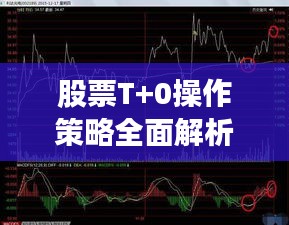 公司概况 第48页