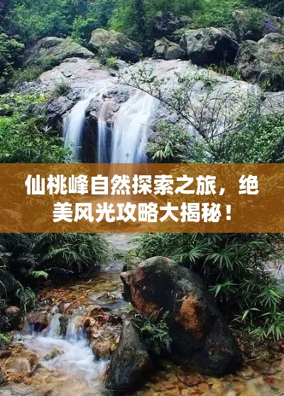 矫枉过正
