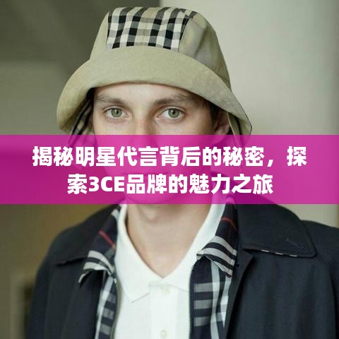揭秘明星代言背后的秘密，探索3CE品牌的魅力之旅