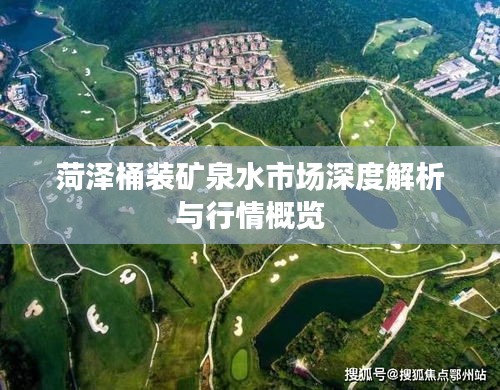 菏泽桶装矿泉水市场深度解析与行情概览