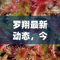 仓储物流园 第37页