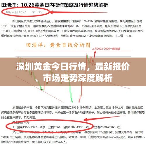 深圳黄金今日行情，最新报价、市场走势深度解析