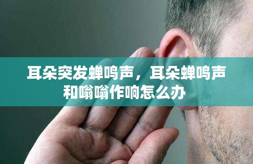 荡然无存