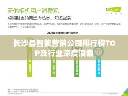 长沙县智能营销公司排行榜TOP及行业深度洞察