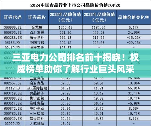 三亚电力公司排名前十揭晓！权威榜单助你了解行业巨头风采