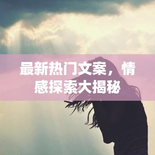 最新热门文案，情感探索大揭秘