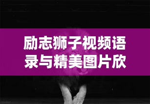 步履如飞