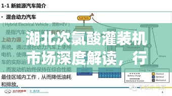 鬼张鬼智