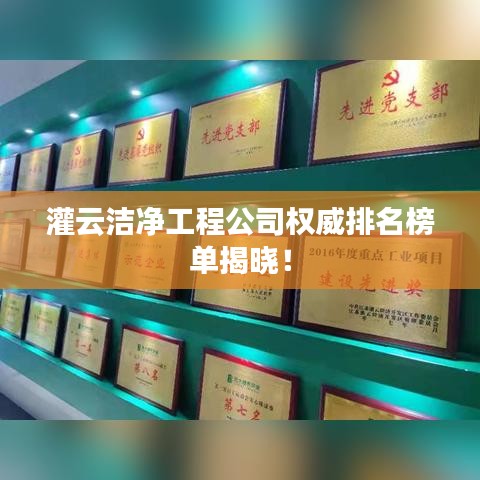 成功案例 第23页