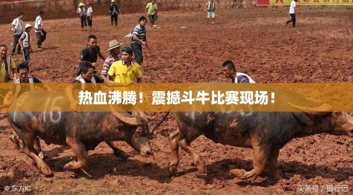 笃新怠旧