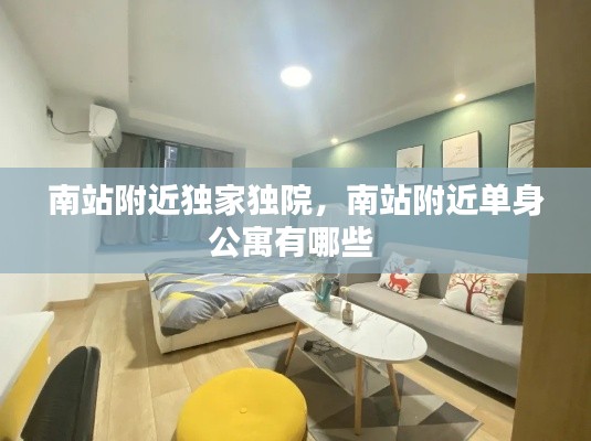 南站附近独家独院，南站附近单身公寓有哪些 