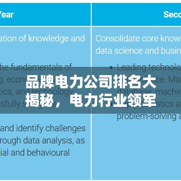 品牌电力公司排名大揭秘，电力行业领军者榜单！