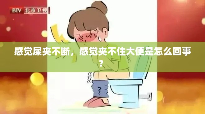噩噩浑浑