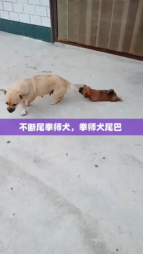 屈高就下