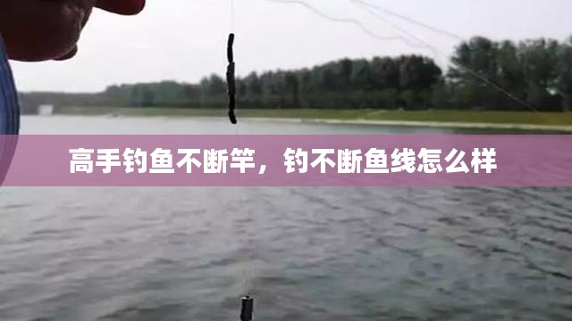 雅量高致