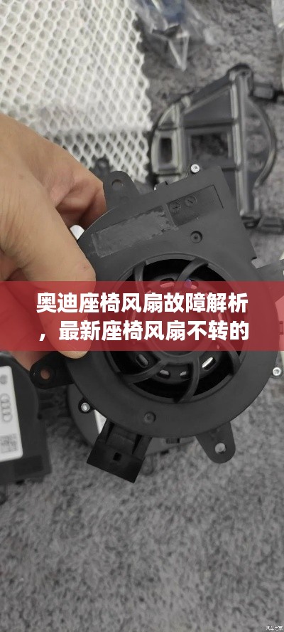 无独有偶