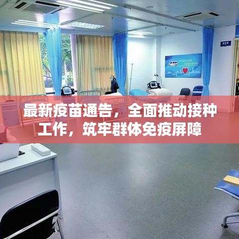 正襟危坐
