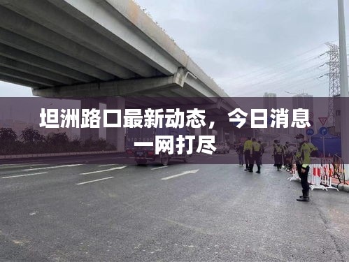 坦洲路口最新动态，今日消息一网打尽