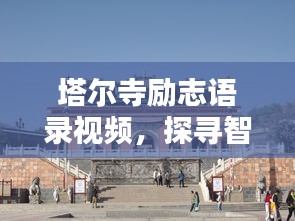 塔尔寺励志语录视频，探寻智慧，激发无限潜能