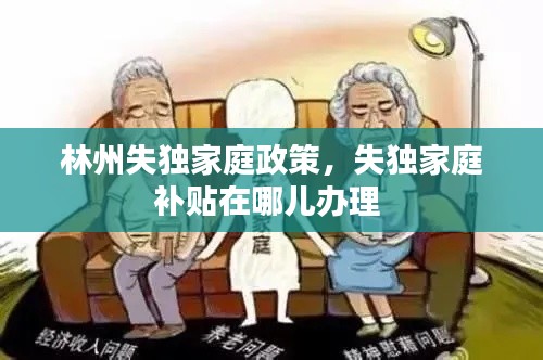 成功案例 第11页