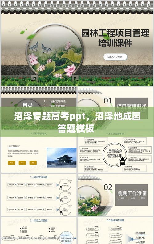 媒体报道 第11页