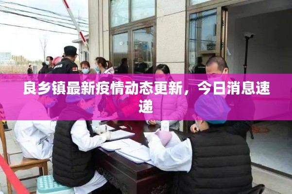 随方就圆