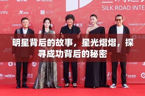 明星背后的故事，星光熠熠，探寻成功背后的秘密
