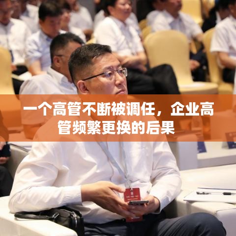 龙飞九五