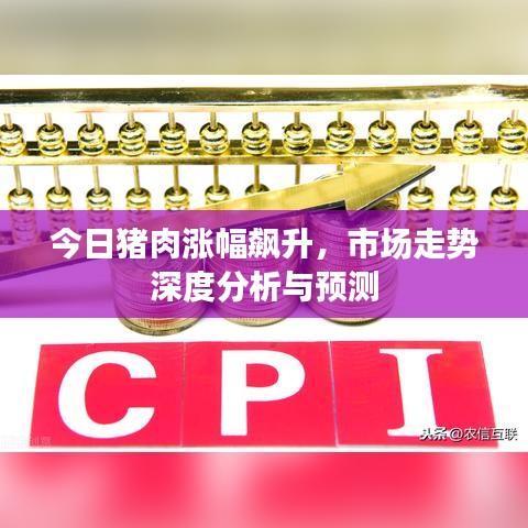 今日猪肉涨幅飙升，市场走势深度分析与预测