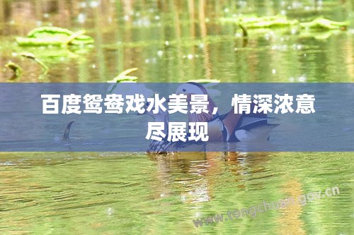 成功案例 第6页