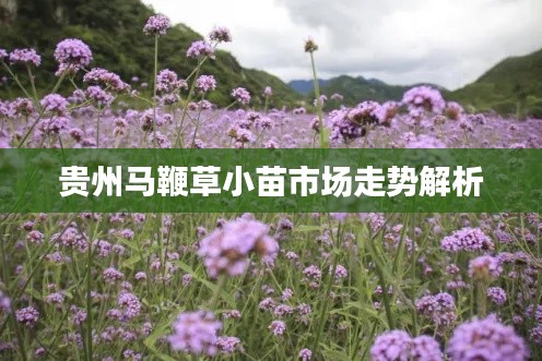 避凶就吉