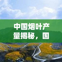 公司概况 第7页