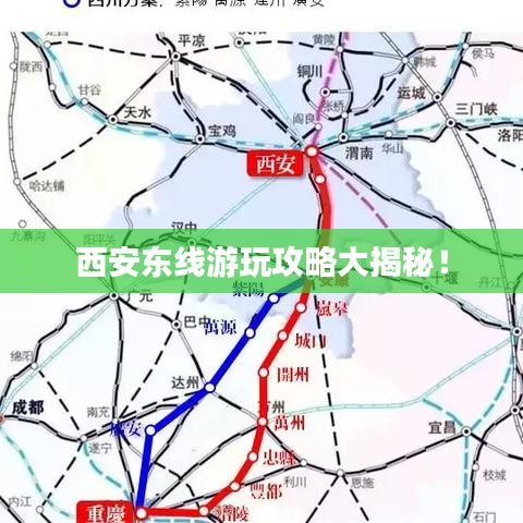 东张西望