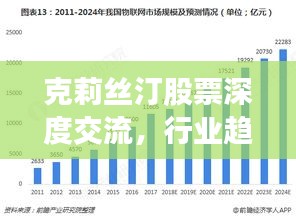 克莉丝汀股票深度交流，行业趋势解析与投资策略探讨